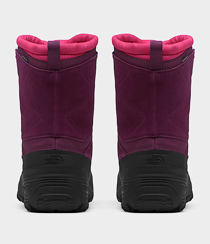 Youth Alpenglow V Waterproof Boots - Image 3