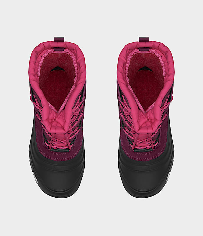 Youth Alpenglow V Waterproof Boots - Image 2