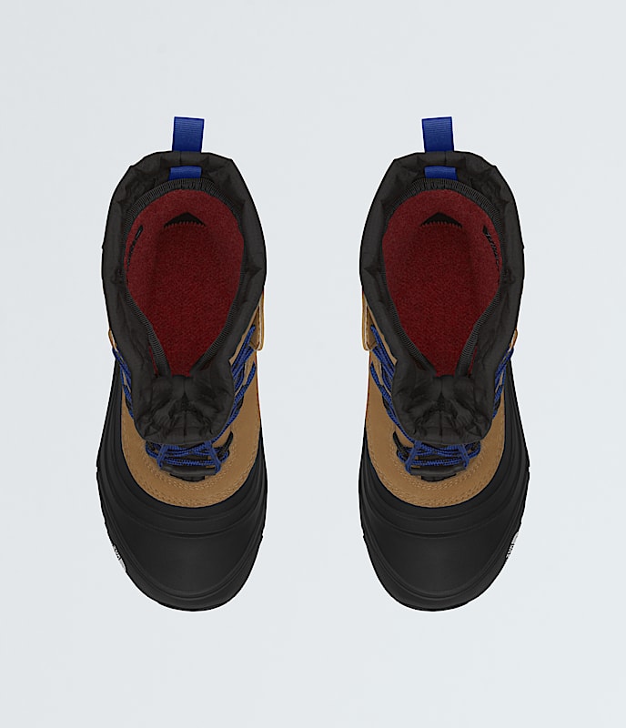 Youth Alpenglow V Waterproof Boots - Image 2