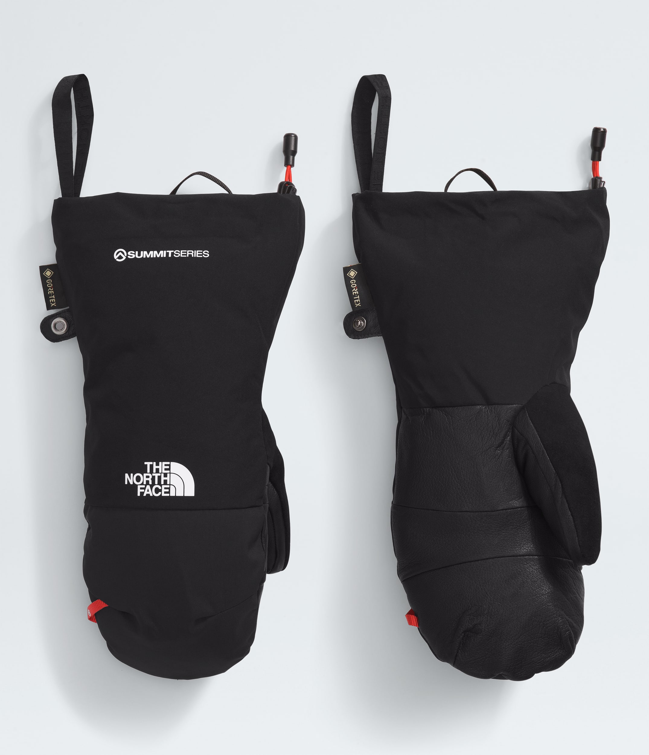 Summit Series Down GORE-TEX? Mitts