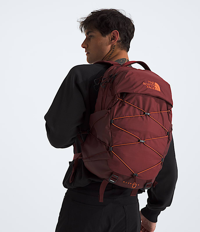 Borealis Backpack - Image 4