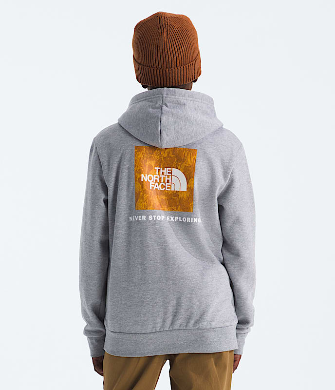 Boys' & Girls' Evolution Box NSE Pullover Hoodie¡ªGraphic - Image 2