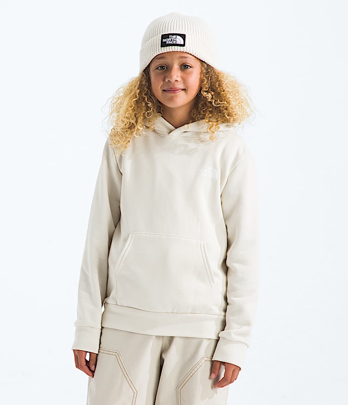 Boys' & Girls' Evolution Box NSE Pullover Hoodie¡ªGraphic - Image 4
