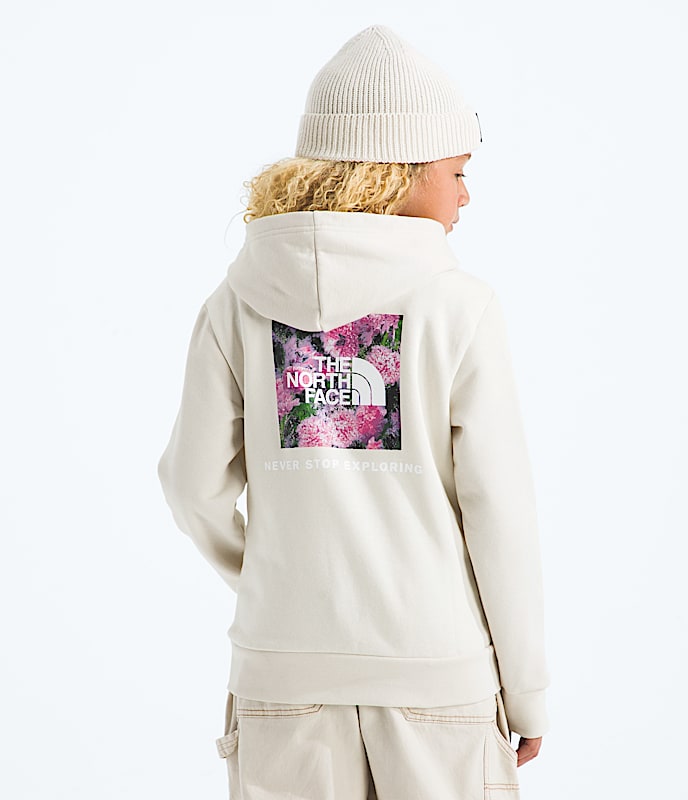 Boys' & Girls' Evolution Box NSE Pullover Hoodie¡ªGraphic - Image 2