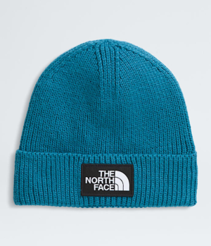 TNF? Logo Box Cuffed Beanie
