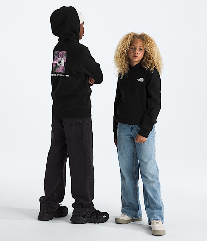 Boys' & Girls' Evolution Box NSE Pullover Hoodie¡ªGraphic