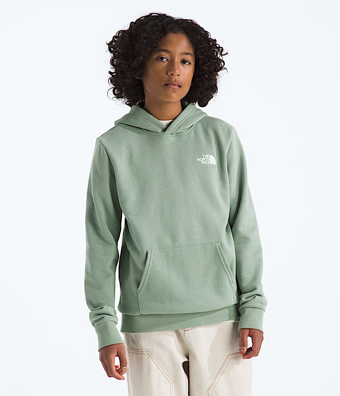 Boys' & Girls' Evolution Box NSE Pullover Hoodie¡ªGraphic - Image 3