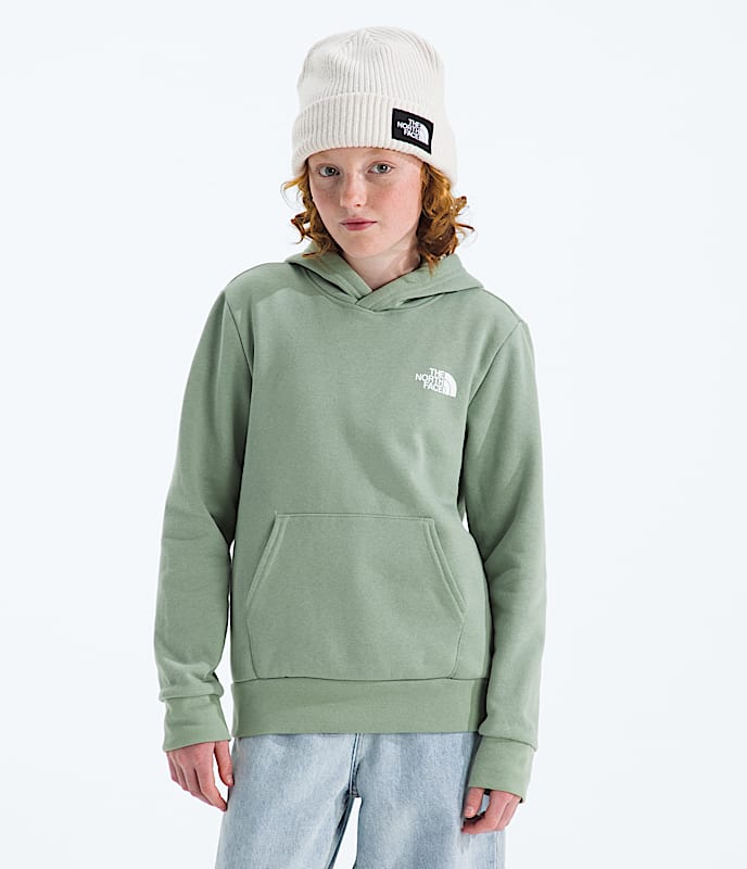 Boys' & Girls' Evolution Box NSE Pullover Hoodie¡ªGraphic - Image 4