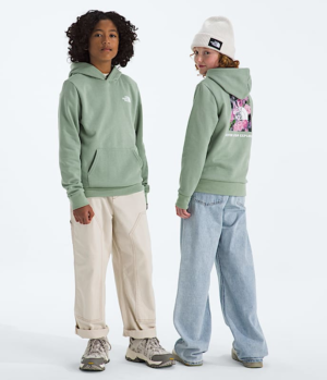 Boys' & Girls' Evolution Box NSE Pullover Hoodie¡ªGraphic