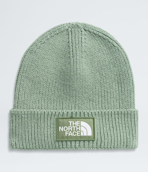 TNF? Logo Box Cuffed Beanie