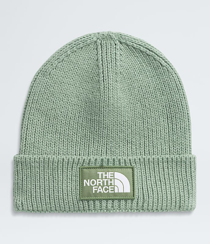 TNF? Logo Box Cuffed Beanie