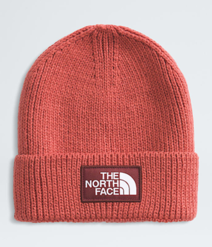 TNF? Logo Box Cuffed Beanie