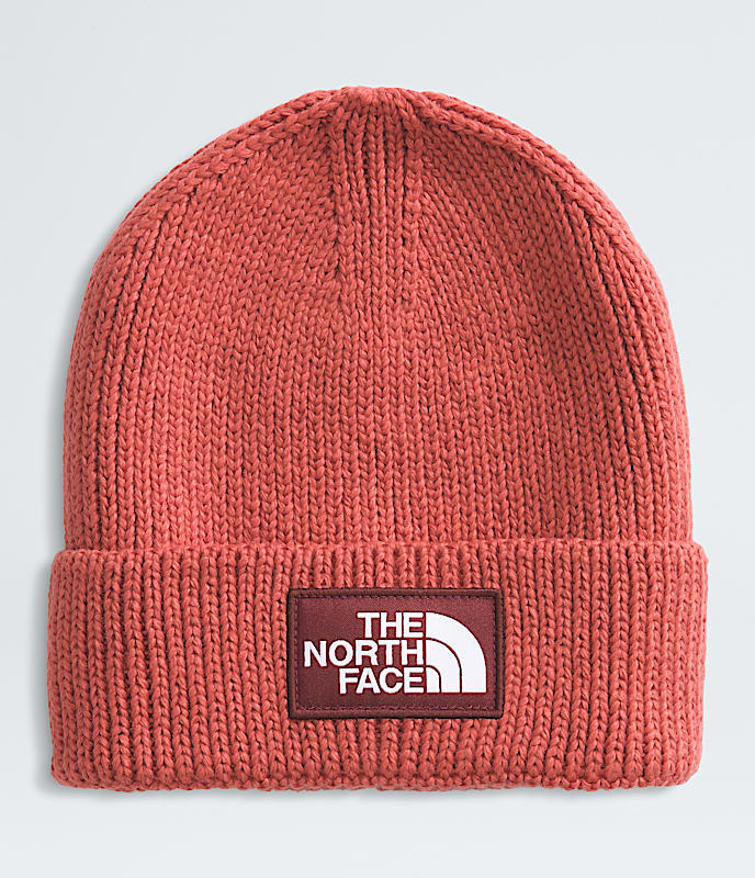 TNF? Logo Box Cuffed Beanie